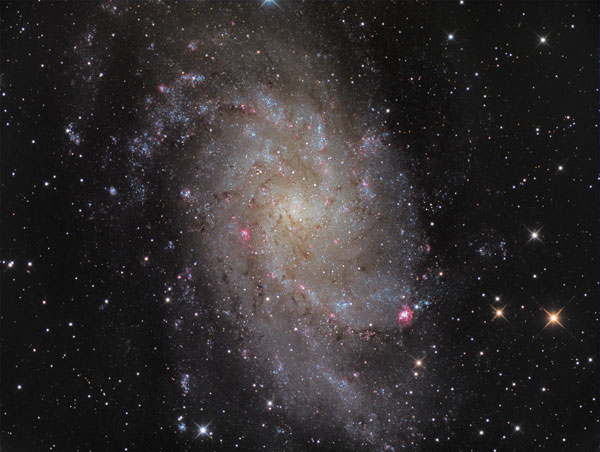M33