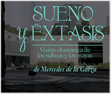 Mercedes de la garza sueo y alucinacion #3