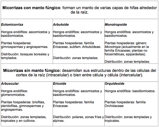 Como Se Hace El Hormigon Impreso Decoraci Ef Bf Bdn Como Se Hace El Hormigon Impreso Decoraci Ef Bf Bdn