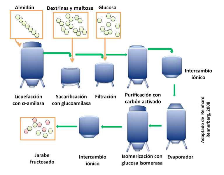 Enzimas aplicadas en procesos industriales