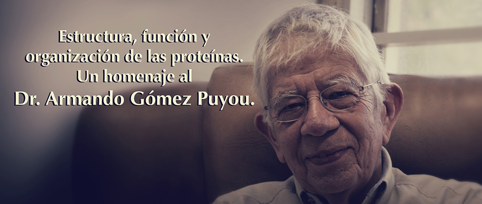 Estructura, función y organización de las proteínas. Un Homenaje al Dr. Armando Gómez Puyou