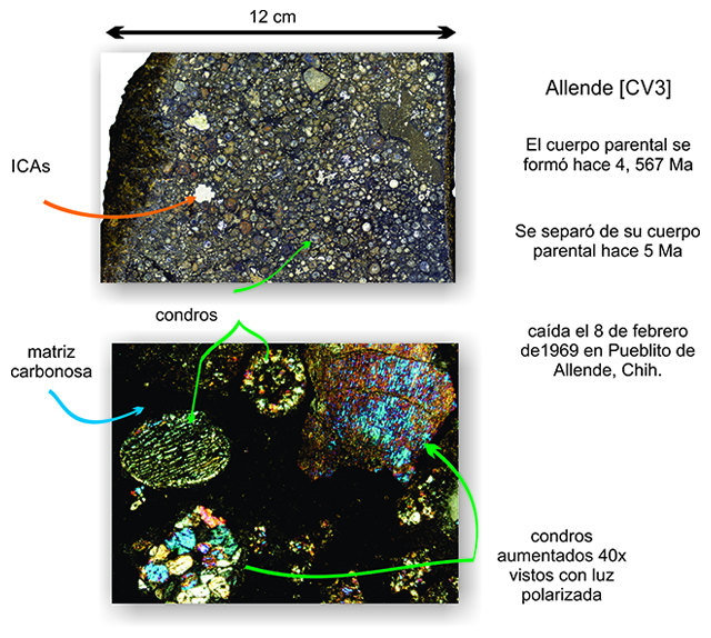 Meteorito de Allende con sus componentes principales