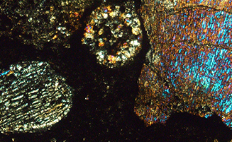 La edad de algunos meteoritos mexicanos: desde el origen del Sistema Solar hasta su llegada al laboratorio
