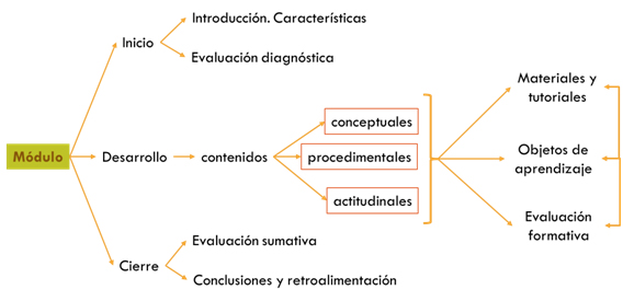 Figura 2: Estructura general de cada uno de los módulos del diplomado.