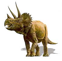 triceratops.jpg