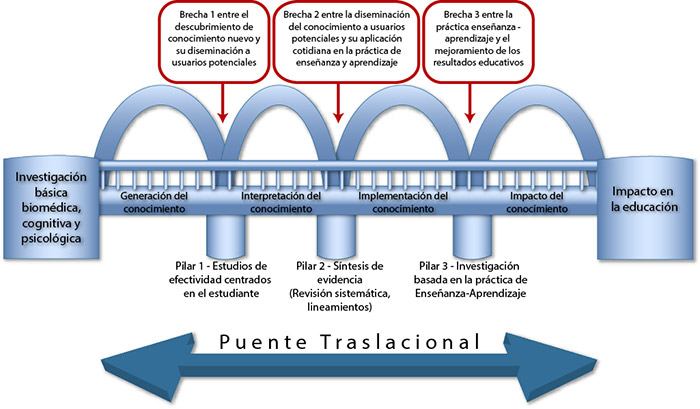 Esquema de la investigación traslacional en educación