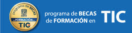 Becas DGTIC