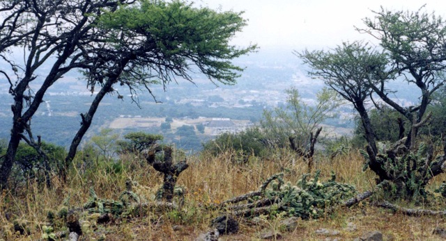 Recinto de Tula Grande