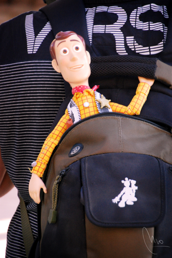 Toy Story Woody To The Rescue