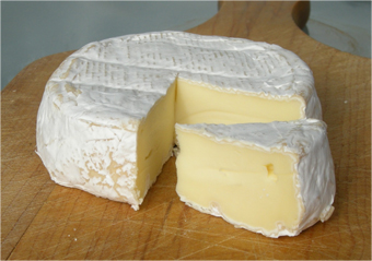 Queso camembert