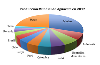 Producción mundial de aguacate