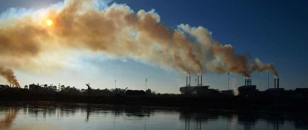 Procesos enzimáticos amigables con el ambiente
