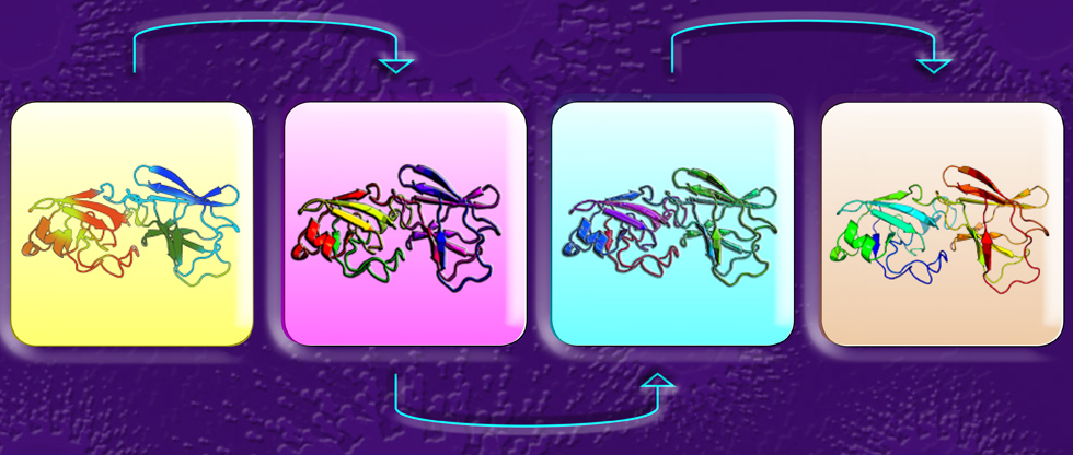 Ingeniería de proteínas para el mejoramiento de enzimas