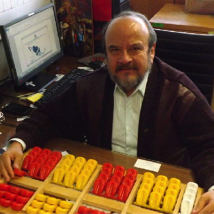 José Francisco Lara Torres 