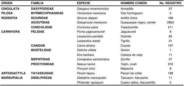 Especies de mamíferos terrestres silvestres registrados en la Estación de Biológica Tropical de Los Tuxtlas.