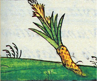 Columna de espuma y pompas de jabón.