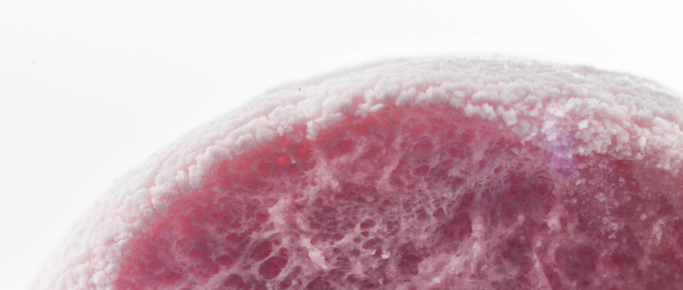 Galería: la espuma de todos los días