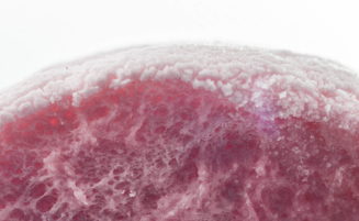 Galería: la espuma de todos los días