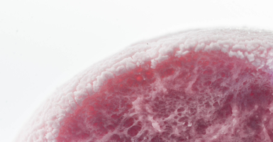 Galería: la espuma de todos los días