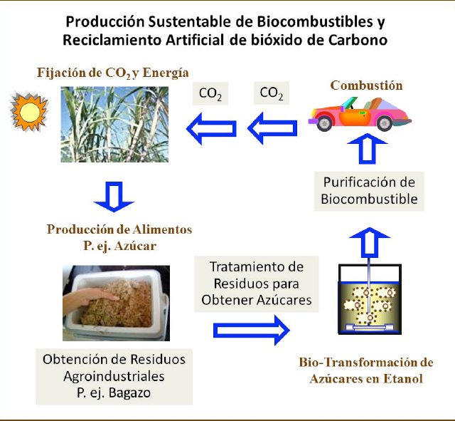 Esquema que muestra la producción de biocombustibles de segunda generación