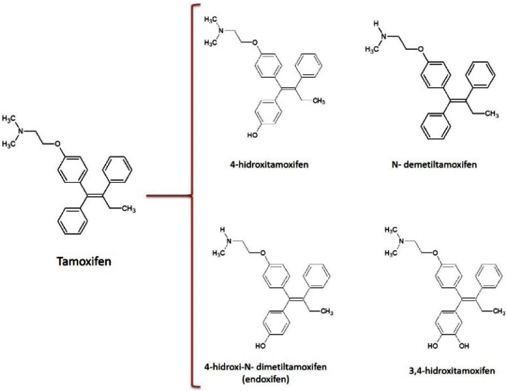 Productos de transformación 