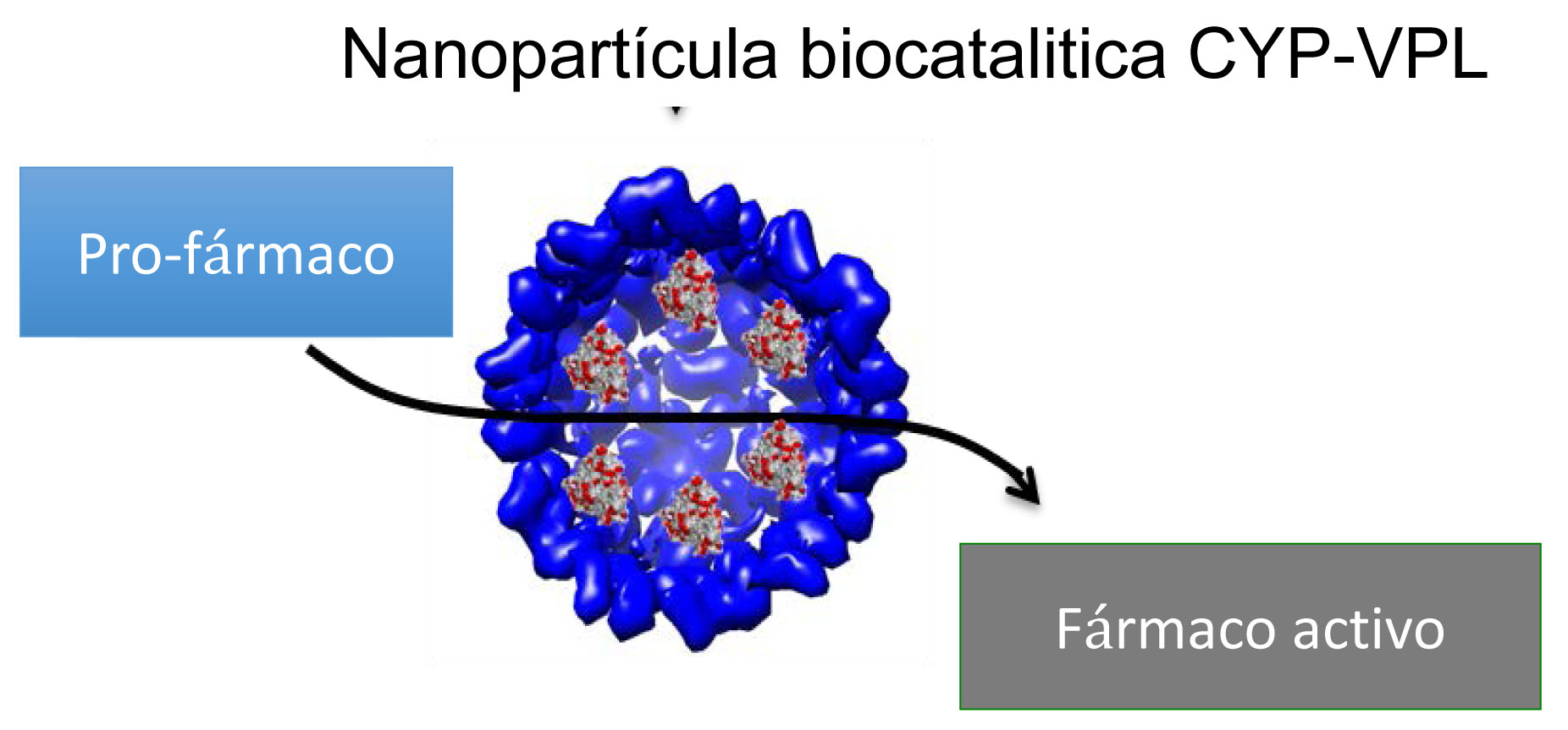 Diagrama de la transformación de pro-fármacos