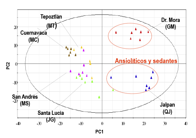 Perfil metabolómico y actividades ansiolíticas y sedantes de los extractos de diferentes poblaciones de Galphimia glauca