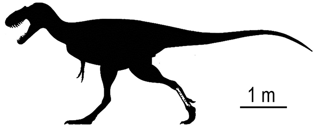 Representación esquemática del hueso del tiranosaurio