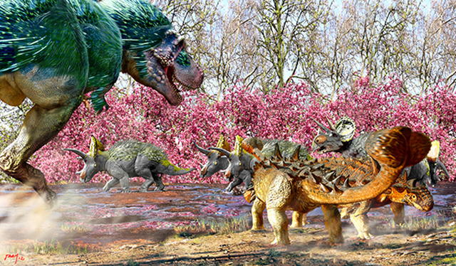 Representación de un Tyrannosaurus rex atacando a una pareja de anquilosaurios