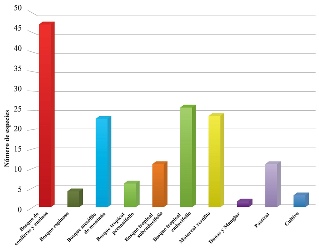Tipos de vegetación