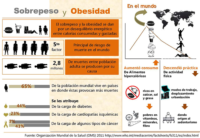 Infografía de sobrepeso y obesidad en el mundo