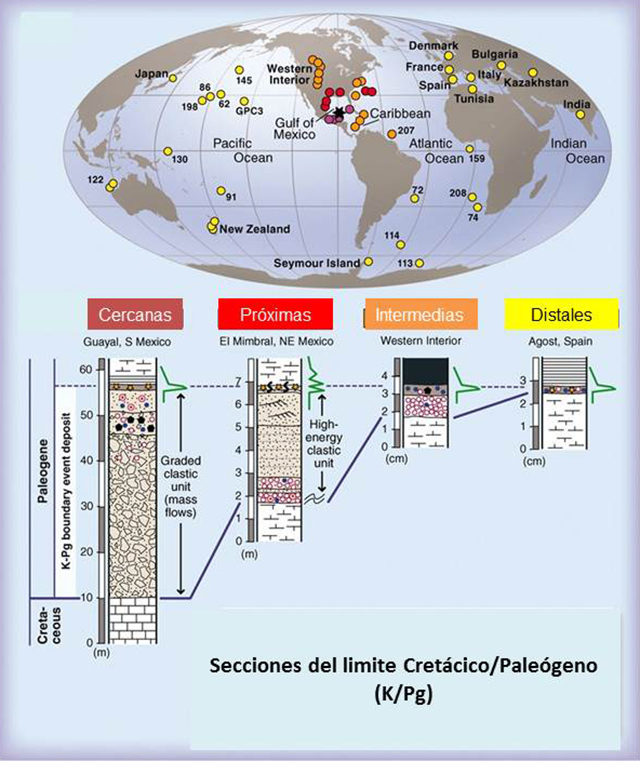 Distribución y representación esquemática