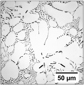 Micrografía óptica