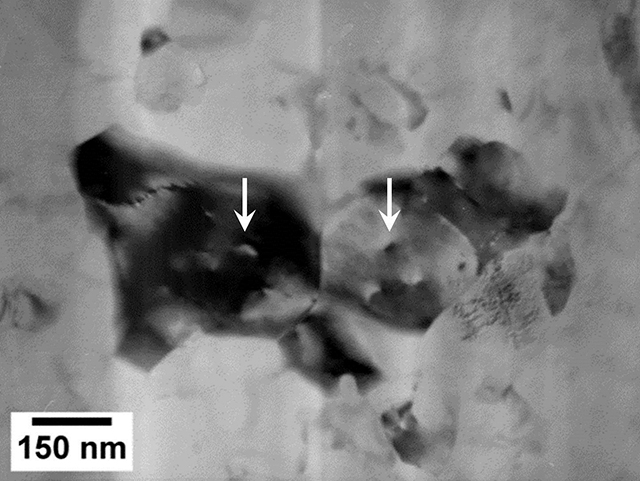 Micrografía de MET