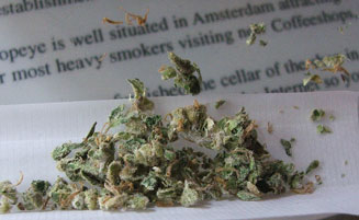 Aspectos legales de la Cannabis sativa
