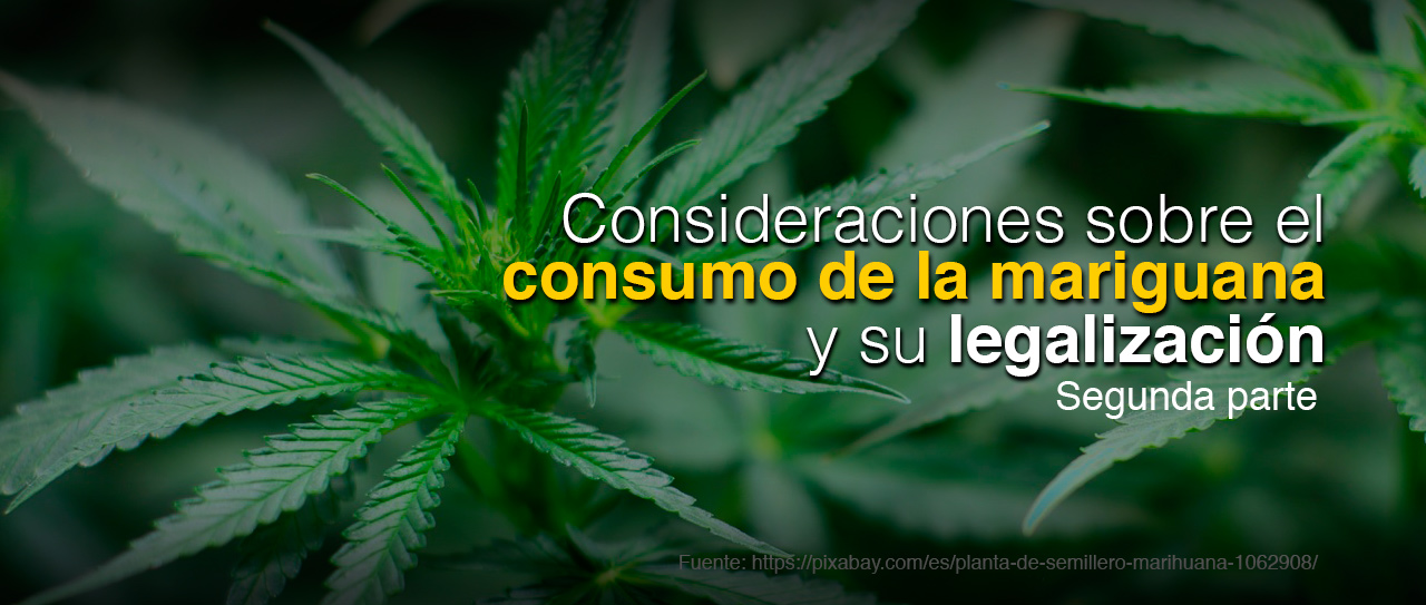 Consideraciones sobre el consumo de la mariguana y su legalización. Segunda parte