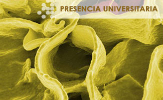 Las bacterias, estudio y cambios a lo largo de la historia