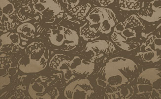 Huesos y calaveras: ética y estética de la muerte en la cultura heavy metal