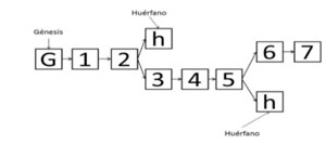 Figura 3 Bifurcación del blockchain