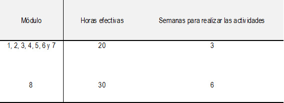 Tabla 1: Cantidad de horas efectivas de trabajo por módulo y su relación con las semanas de asignadas para completar cada módulo.