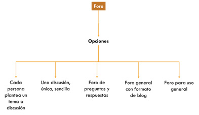 Figura 8: Opciones de un foro de Moodle.