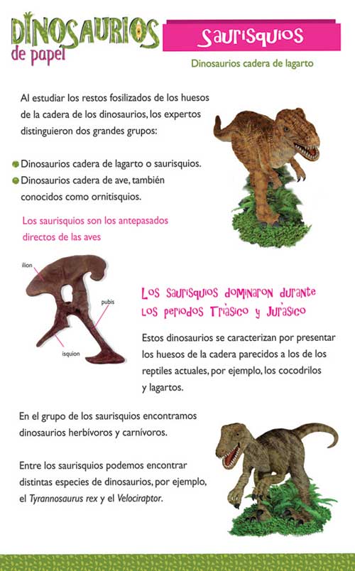 Garantizar Flecha micrófono TIPOS DE DINOSAURIOS