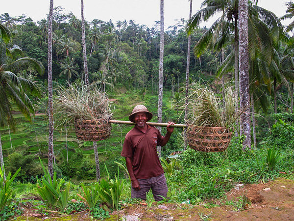 Agricultor usando recursos naturales