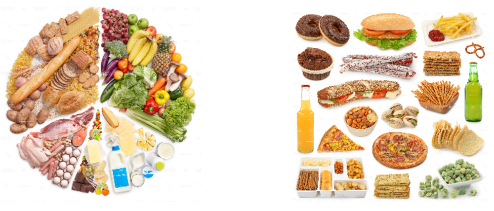 Alimentación equilibrada y alta en carbohidratos y grasas