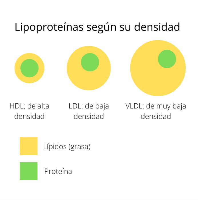 Clasificación de lipoproteínas