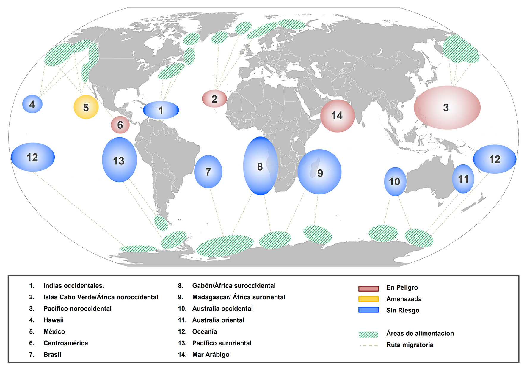 Poblaciones de ballenas jorobadas y su categoría de protección