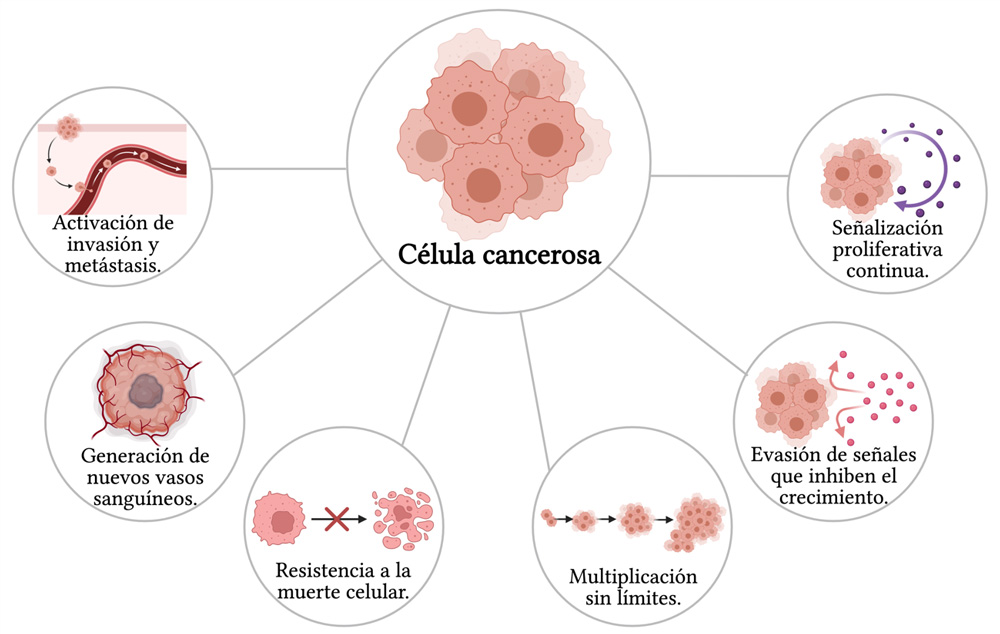 Rasgos del cáncer