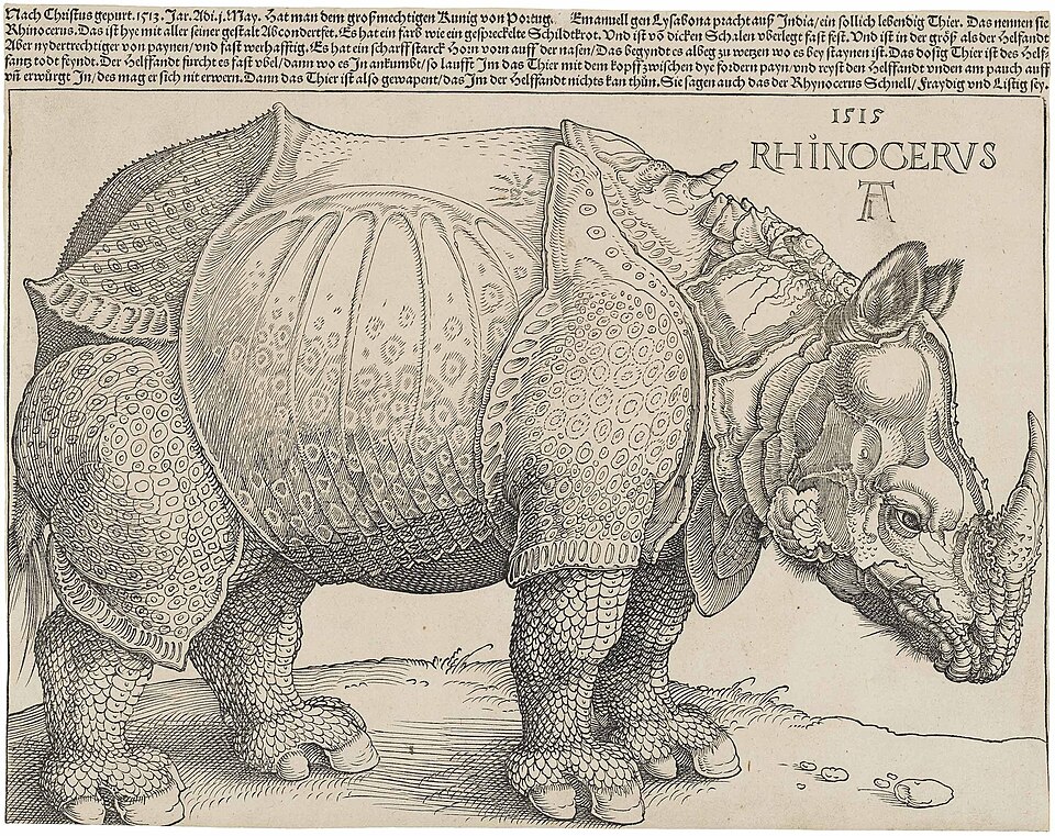 Alberto Durero, Rhinocerus (1515)