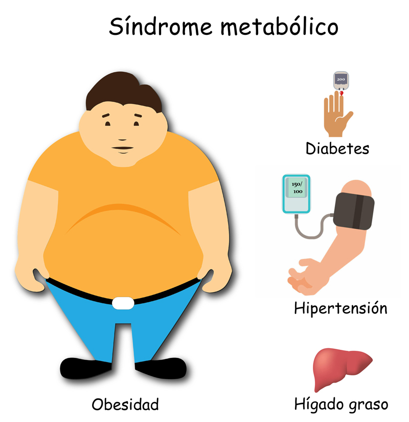 El consumo de fructosa está asociado con el desarrollo de síndrome metabólico