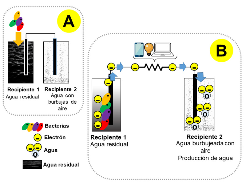 Funcionamiento de una biopila